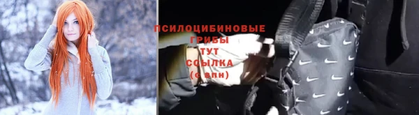 Альфа ПВП Заволжск