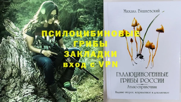 кокаин Заводоуковск
